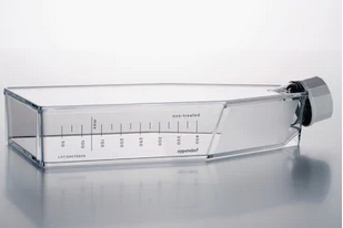 德國(guó)艾本德(Eppendorf)Cell Culture FlasksT-175,無菌無熱原,無RNase和DNase,無人類和細(xì)菌DNA,無細(xì)胞毒素,帶濾膜透氣蓋,TC處理,30.0mL