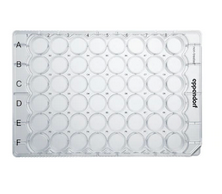 德國(guó)艾本德(Eppendorf)Cell Culture Plates,48-Well,無(wú)菌無(wú)熱原,無(wú)RNase和DNase,無(wú)人類和細(xì)菌DNA,無(wú)細(xì)胞毒素,未處理,0.5mL,60塊,獨(dú)立包裝